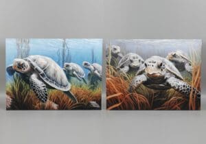 2A TURTLE CANVAS 32L - UPC : 050262355387