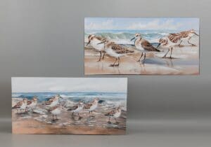 2A SHORE BIRD CANVAS 39L - UPC : 050262355400
