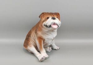 BULL DOG BROWN 18H - UPC : 050262355448