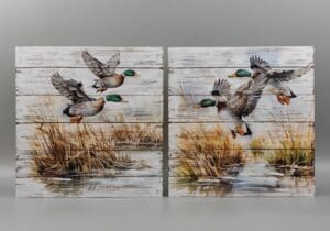 2A MALLARD DUCK CANVAS20 - UPC : 050262355721